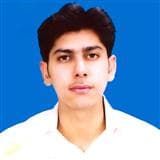 Hamza Khan assignment help expert profile photo