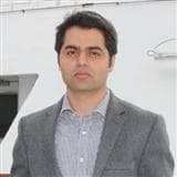 Hemant Krishnan assignment help expert profile photo
